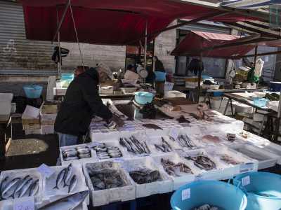 Si tratta di uno dei due mercati all'aperto ancora rimasti a Bari (foto di Gennaro Gargiulo)